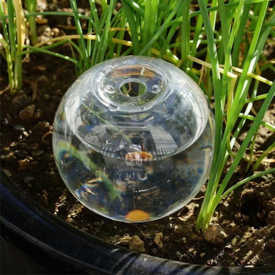 Arrosage goutte à goutte | IsaacGlobe™ - SC Jardin