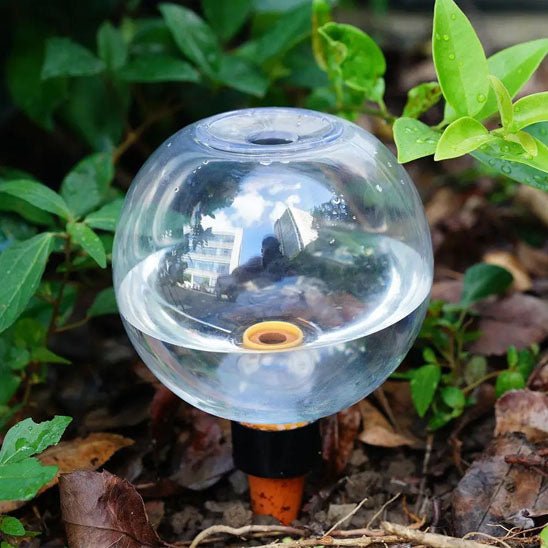 Arrosage goutte à goutte | IsaacGlobe™ - SC Jardin