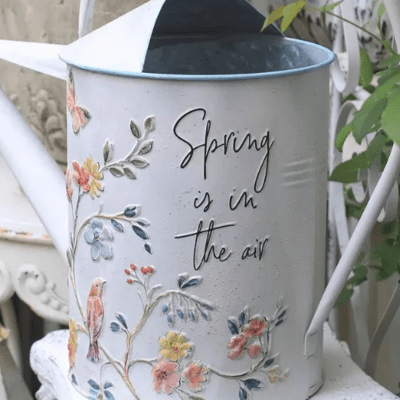 Arrosoir | SpringisintheAir™ - SC Jardin