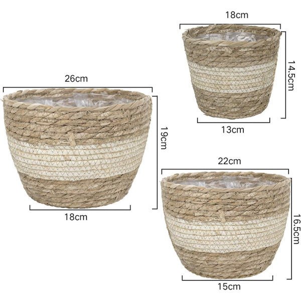 Cache pot en osier | FouadWickerPot™ - SC Jardin