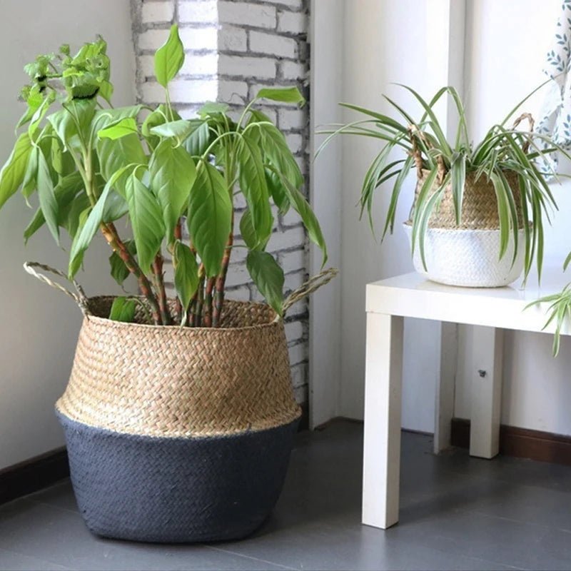 Cache - pot | WickerPlanter™ - SC Jardin