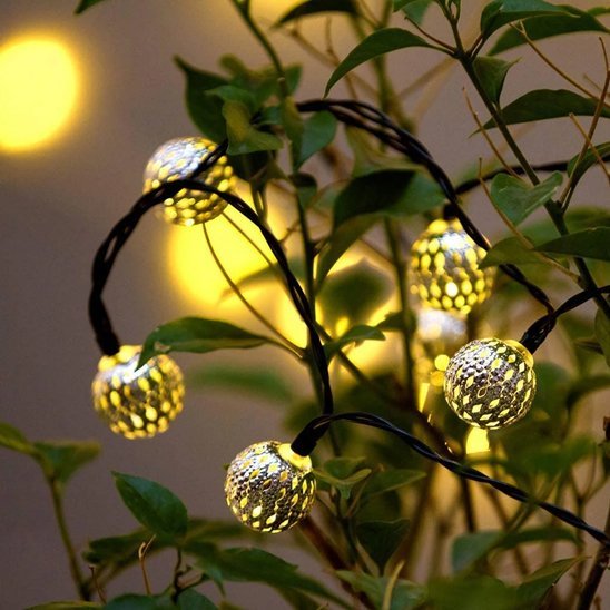 Guirlande lumineuse | Féérique - SC Jardin