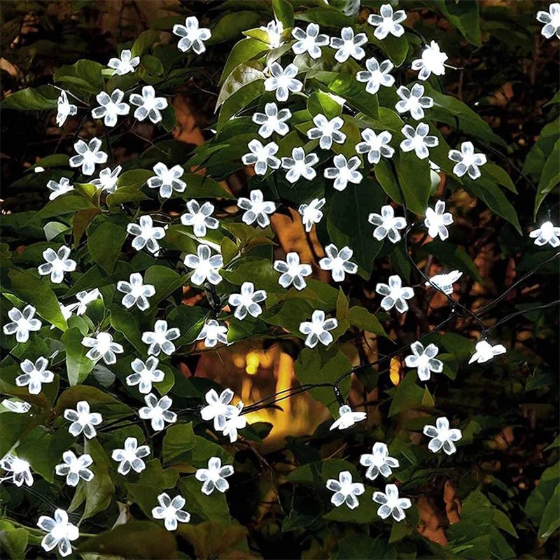 Guirlande solaire | Loulouâą - SC Jardin
