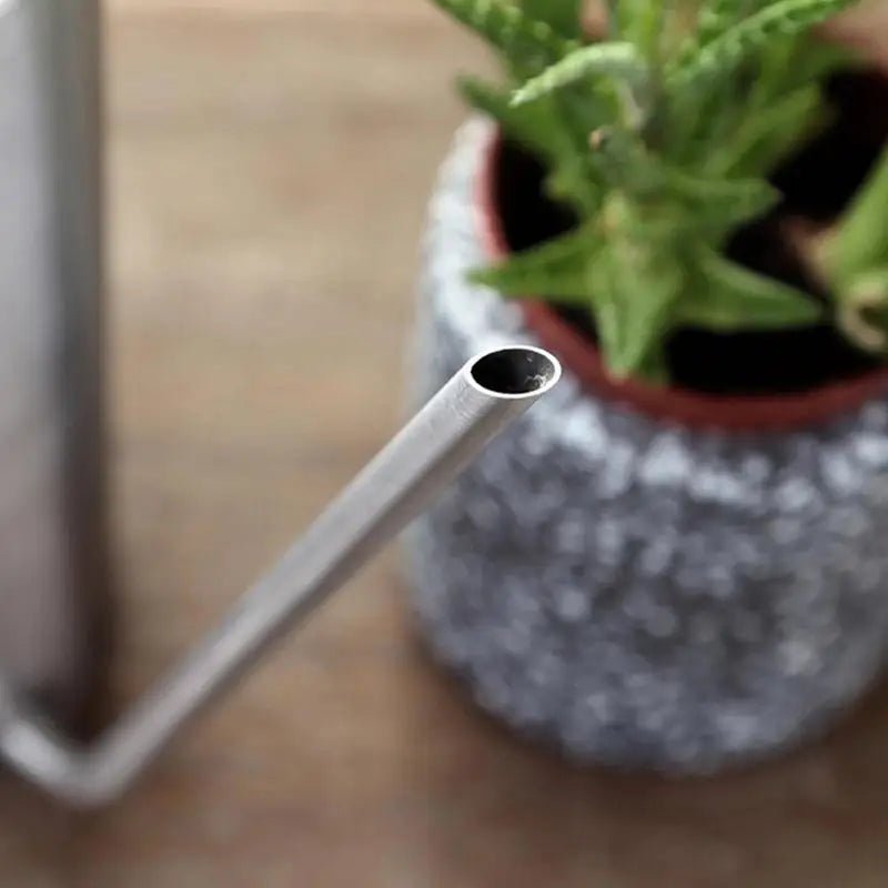 Petit arrosoir en métal pour plantes d'intérieur, arrosoir à long cou pour plantes d'intérieur, arrosage des fleurs, 1.5 L - SC Jardin