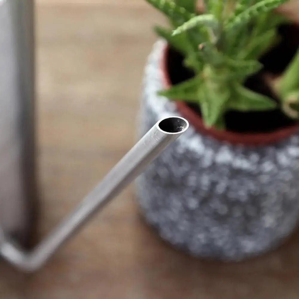 Petit arrosoir en métal pour plantes d'intérieur, arrosoir à long cou pour plantes d'intérieur, arrosage des fleurs, 1.5 L - SC Jardin