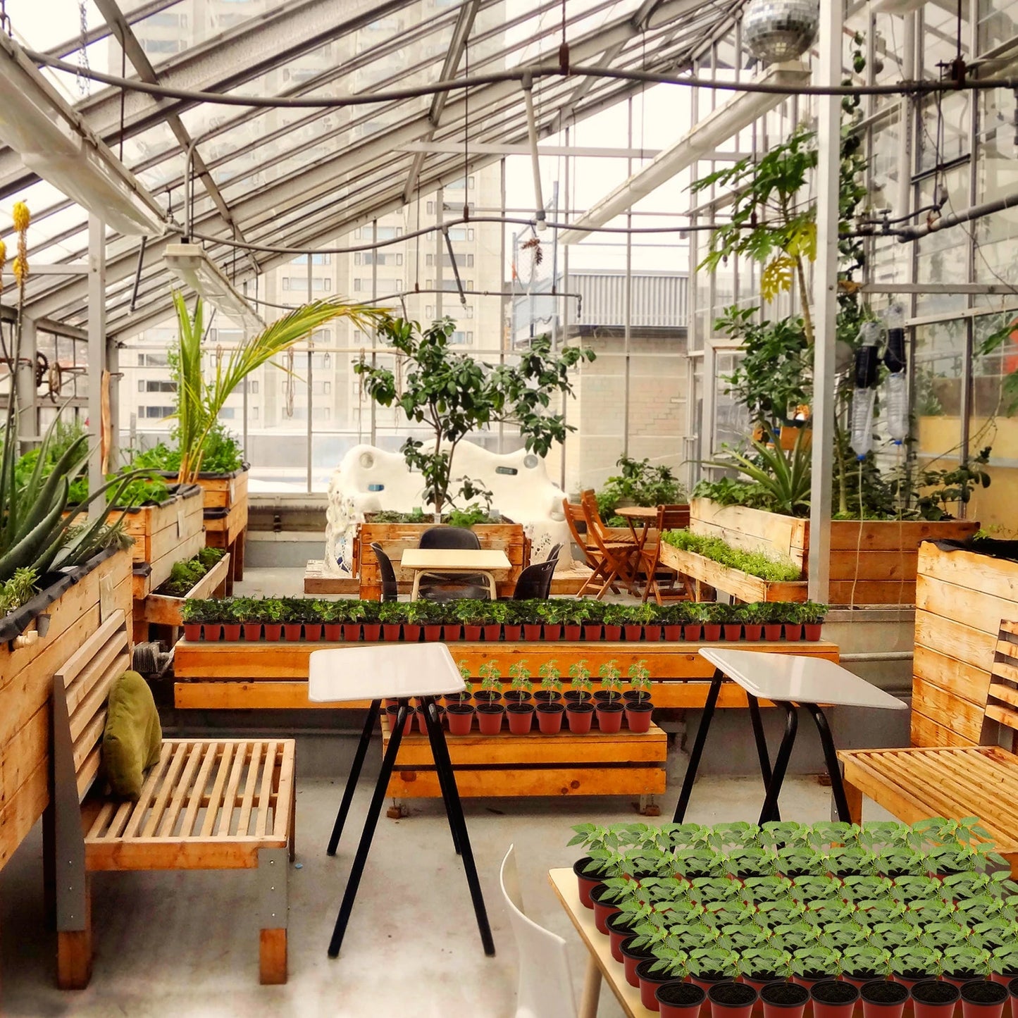 Pot de fleur | PlantNurseryPotsâą - SC Jardin