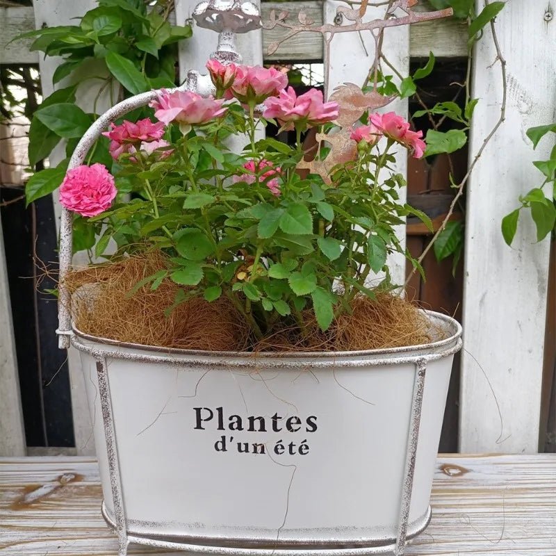Pot de fleurs | BaignoireVinty™ - SC Jardin