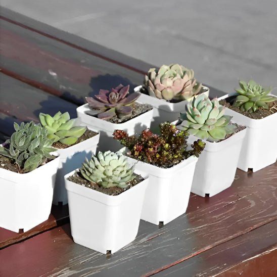 Pots de fleurs | MultiSeedlingPot™ - SC Jardin