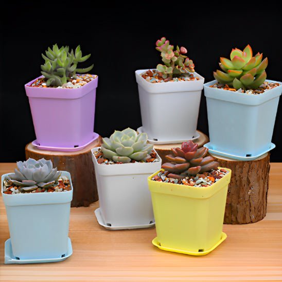 Pots de fleurs | MultiSeedlingPot™ - SC Jardin
