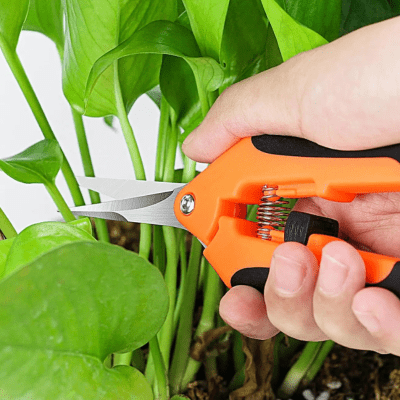 Sécateurs | KelyanPruning™ - SC Jardin