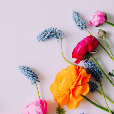 Des fleurs qui ne fanent jamais