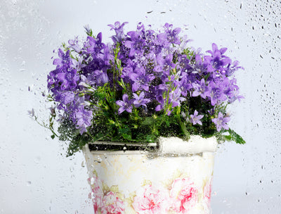 Caches-pots...Touche finale de votre déco! - SC Jardin
