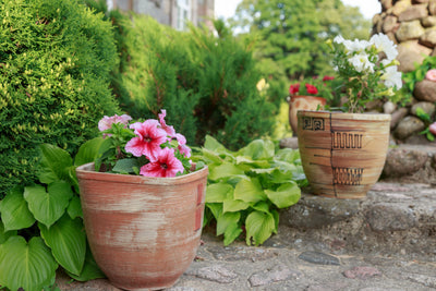 Des pots qui font fleurir l'élégance