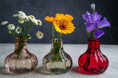 Quand le vase devient création - SC Jardin