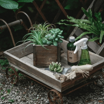 Brouette  |  MiniMaryWheelBarrow™
