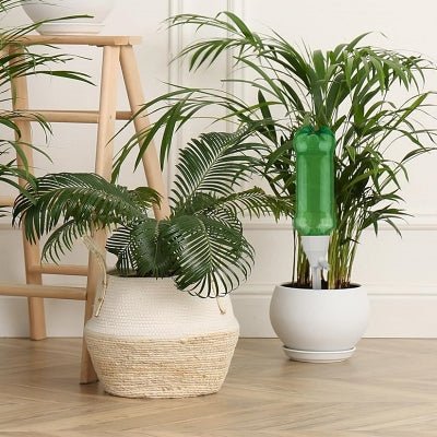 Arrosage Goutte à goutte - AdjustableIrrigationSystem™ - Blanc - SC Jardin