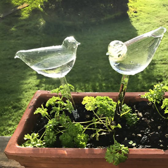 Arrosage goutte à goutte - GlobeOiseau™ - SC Jardin