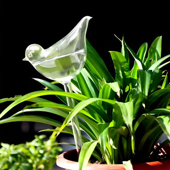 Arrosage goutte à goutte - GlobeOiseau™ - SC Jardin