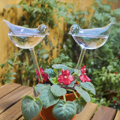 Arrosage goutte à goutte - GlobeOiseau™ - SC Jardin