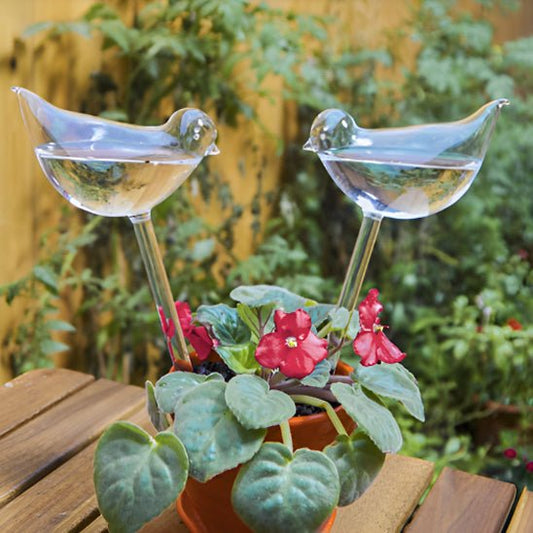 Arrosage goutte à goutte - GlobeOiseau™ - SC Jardin