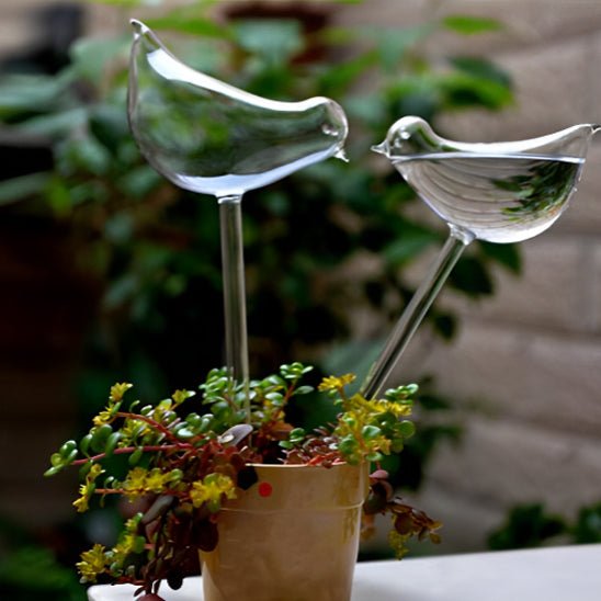 Arrosage goutte à goutte - GlobeOiseau™ - SC Jardin