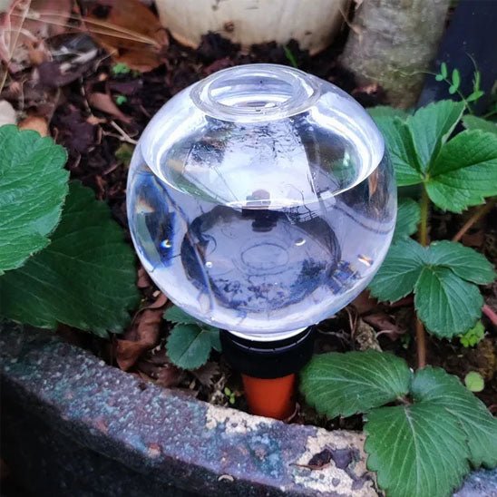 Arrosage goutte à goutte | IsaacGlobe™ - SC Jardin