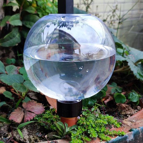 Arrosage goutte à goutte | IsaacGlobe™ - SC Jardin