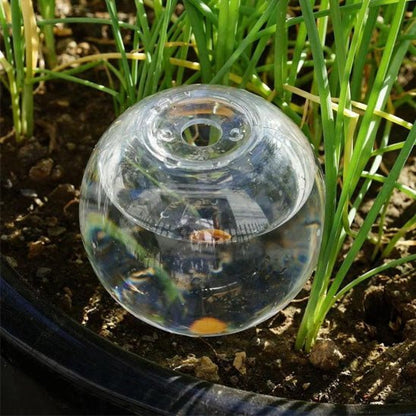 Arrosage goutte à goutte | IsaacGlobe™ - SC Jardin