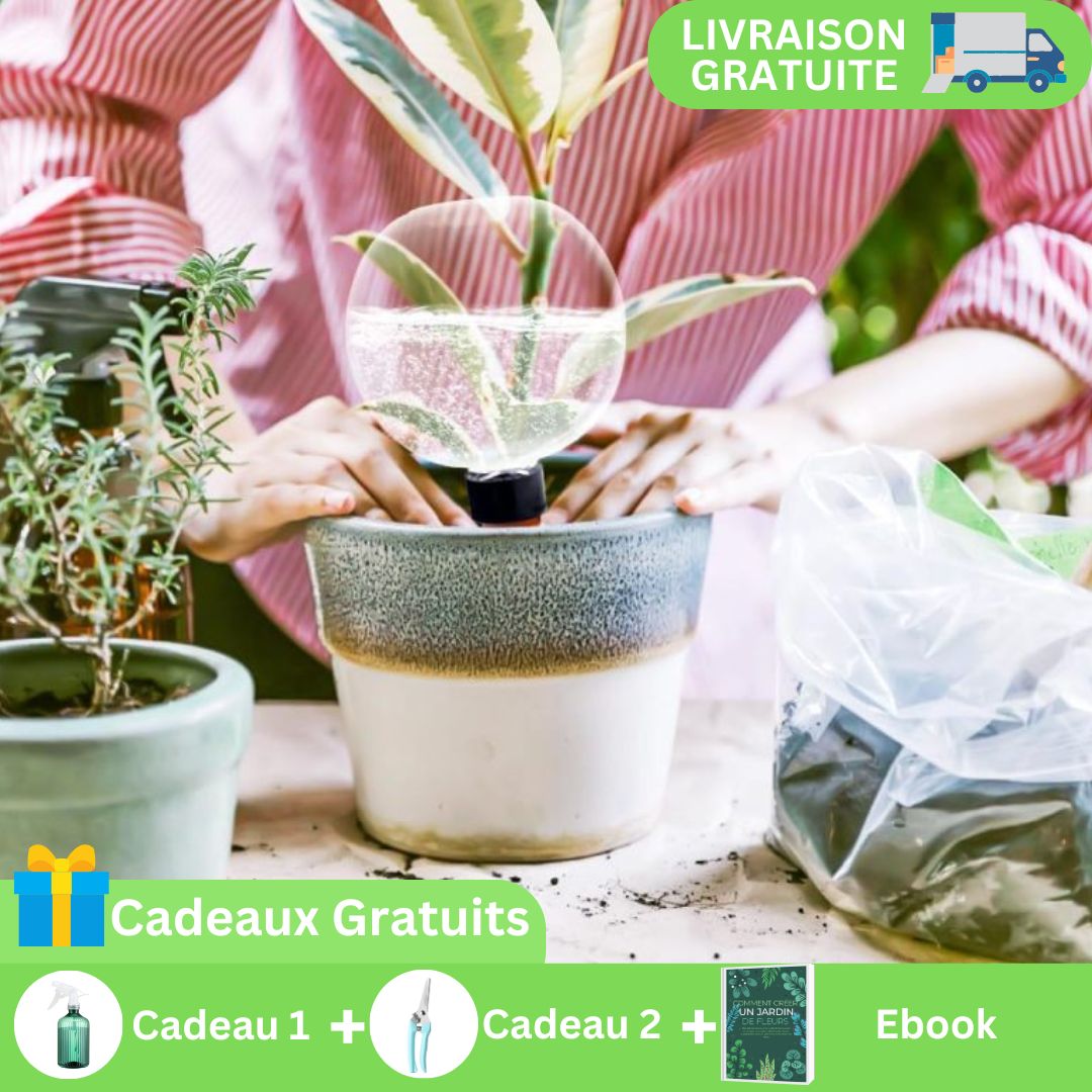 Arrosage goutte à goutte | IsaacGlobe™ - SC Jardin