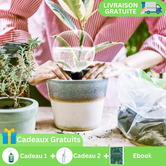 Arrosage goutte à goutte | IsaacGlobe™ - SC Jardin