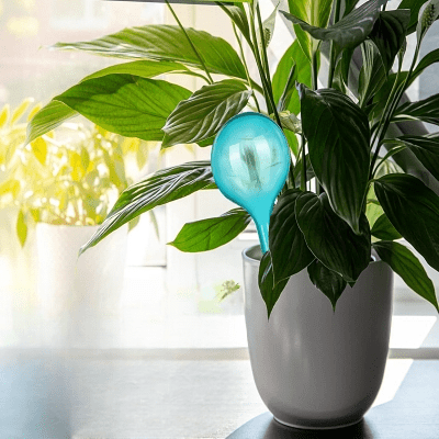 Arrosage goutte à goutte - PlantWaterFeeder™ - SC Jardin