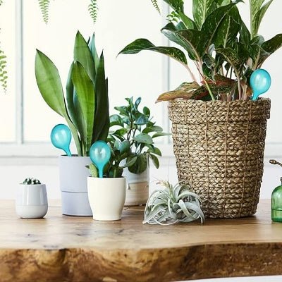 Arrosage goutte à goutte - PlantWaterFeeder™ - SC Jardin