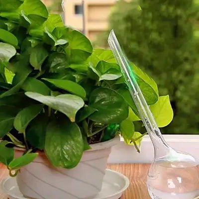 Arrosage goutte à goutte - PlantWaterFeeder™ - Transparent - SC Jardin