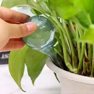 Arrosage goutte à goutte - PlantWaterFeeder™ - Transparent - SC Jardin