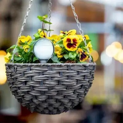 Arrosage goutte à goutte - PlantWaterFeeder™ - Transparent - SC Jardin