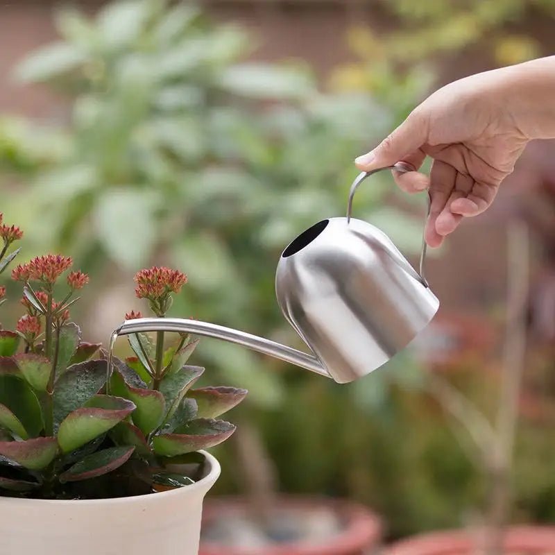 Arrosoir en acier inoxydable pour jardinage, petit arrosoir d'intérieur pour plantes succulentes, long arrosoir pour fleurs, bouilloire 500ml  CW - SC Jardin