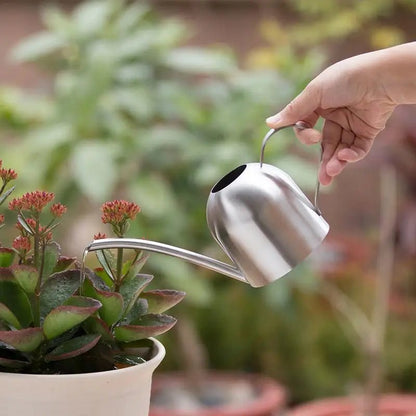 Arrosoir en acier inoxydable pour jardinage, petit arrosoir d'intérieur pour plantes succulentes, long arrosoir pour fleurs, bouilloire 500ml  CW - SC Jardin