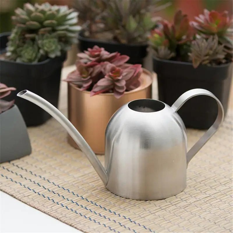 Arrosoir en acier inoxydable pour jardinage, petit arrosoir d'intérieur pour plantes succulentes, long arrosoir pour fleurs, bouilloire 500ml  CW - SC Jardin