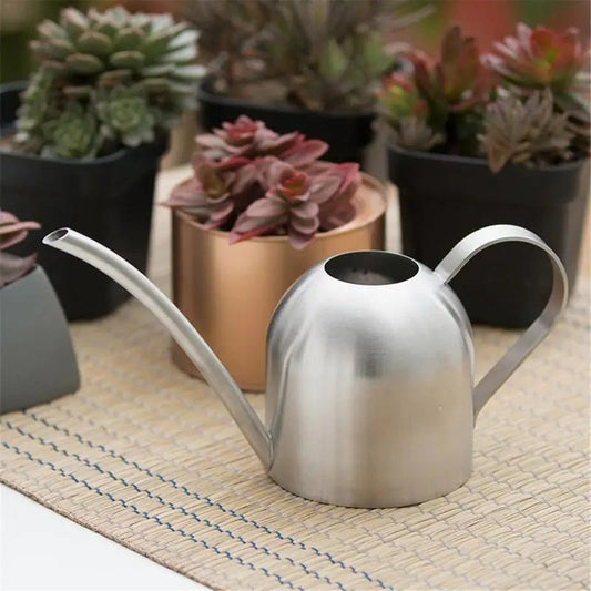 Arrosoir en acier inoxydable pour jardinage, petit arrosoir d'intérieur pour plantes succulentes, long arrosoir pour fleurs, bouilloire 500ml  CW - SC Jardin
