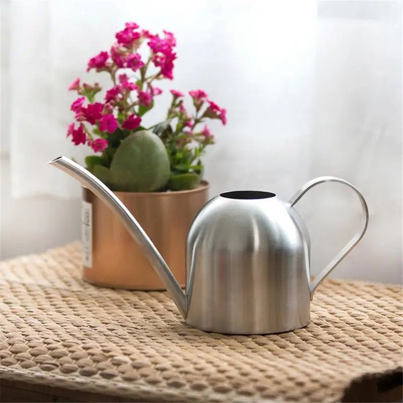 Arrosoir en acier inoxydable pour jardinage, petit arrosoir d'intérieur pour plantes succulentes, long arrosoir pour fleurs, bouilloire 500ml  CW - SC Jardin