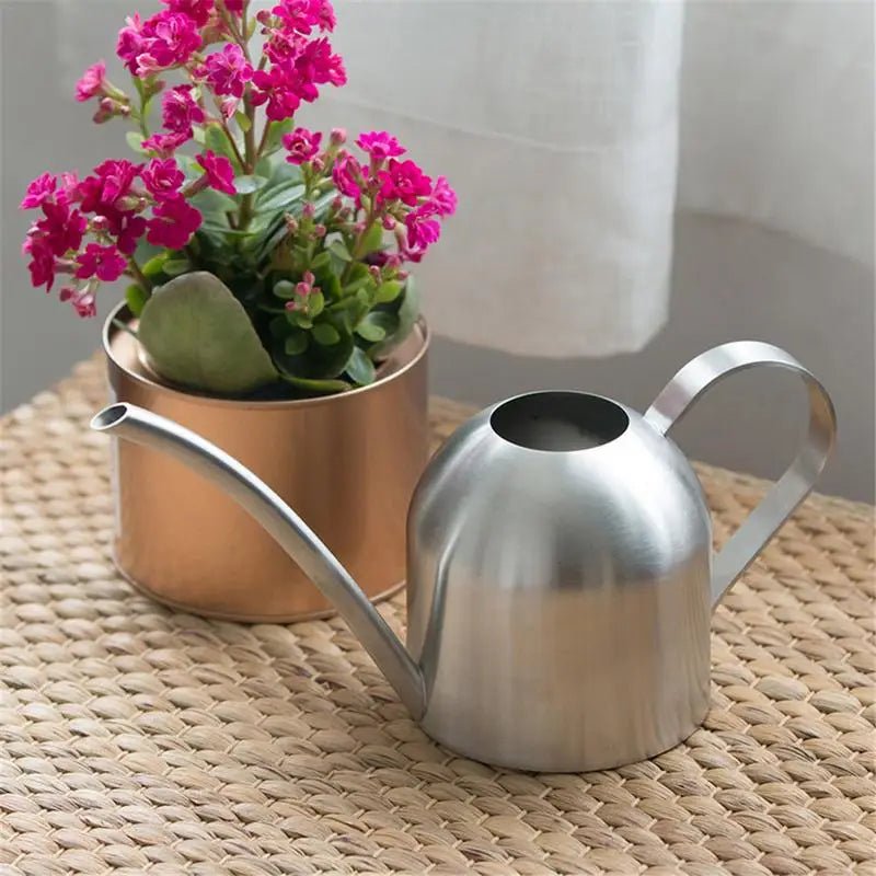 Arrosoir en acier inoxydable pour jardinage, petit arrosoir d'intérieur pour plantes succulentes, long arrosoir pour fleurs, bouilloire 500ml  CW - SC Jardin