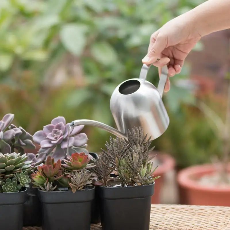 Arrosoir en acier inoxydable pour jardinage, petit arrosoir d'intérieur pour plantes succulentes, long arrosoir pour fleurs, bouilloire 500ml  CW - SC Jardin