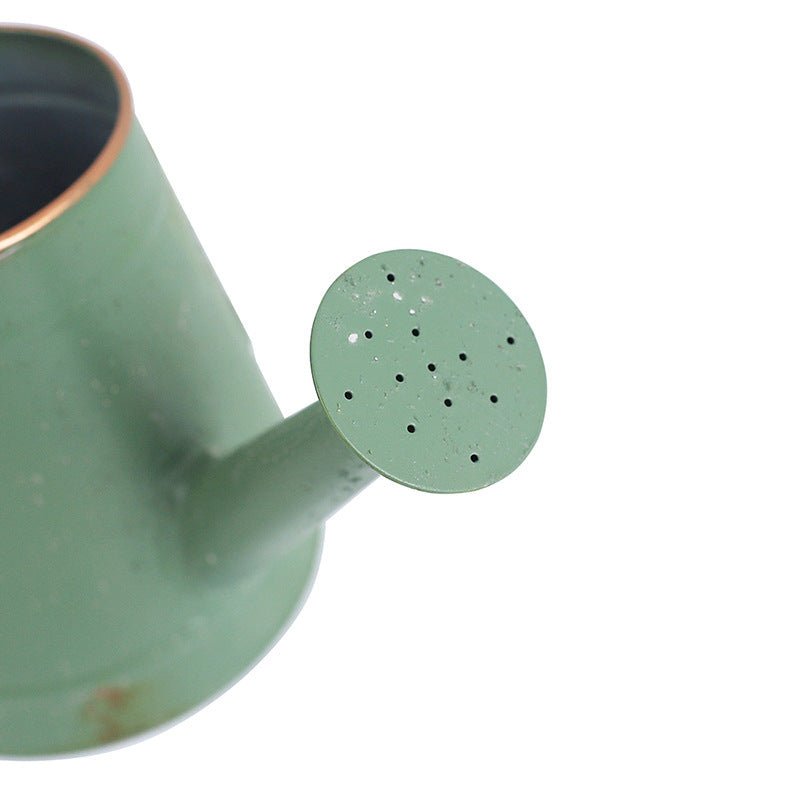 Arrosoir | Loman™ - SC Jardin