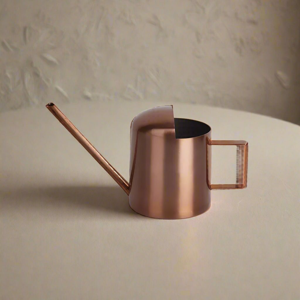 Arrosoir | MiniStanlessSteel™ - SC Jardin