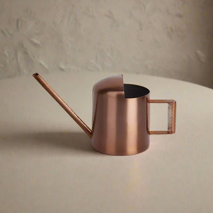 Arrosoir | MiniStanlessSteel™ - SC Jardin