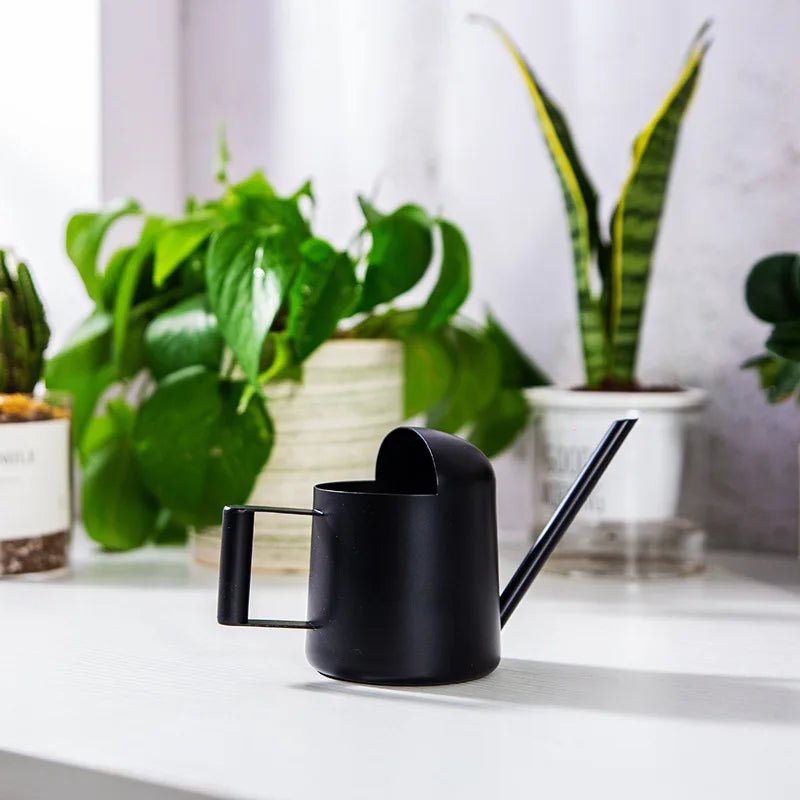 Arrosoir | MiniStanlessSteel™ - SC Jardin