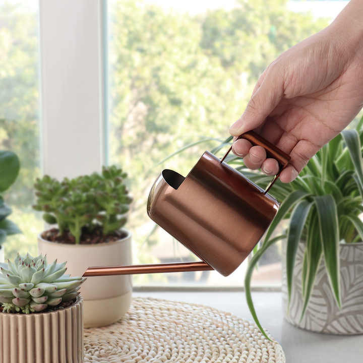 Arrosoir | MiniStanlessSteel™ - SC Jardin