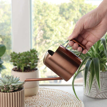 Arrosoir | MiniStanlessSteel™ - SC Jardin