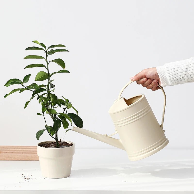 Arrosoir pratique à longue bouche - SC Jardin