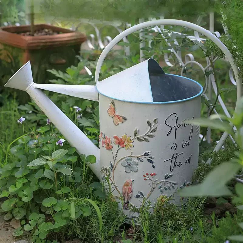 Arrosoir | SpringisintheAir™ - SC Jardin